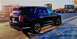 هیوندای پالیسەید